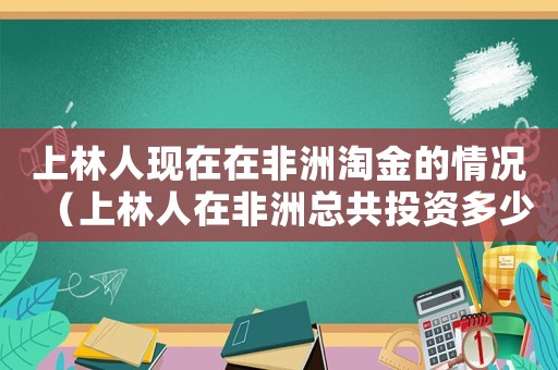 上林人現(xiàn)在在非洲淘金的情況（上林人在非洲總共投資多少錢(qián)）