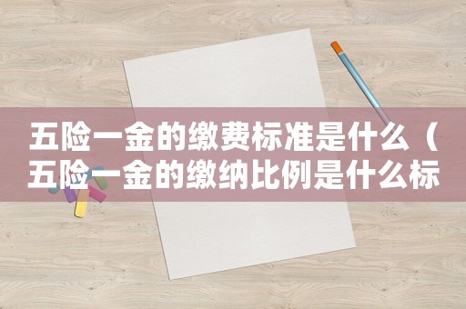 五險(xiǎn)一金的繳費(fèi)標(biāo)準(zhǔn)是什么（五險(xiǎn)一金的繳納比例是什么標(biāo)準(zhǔn)）