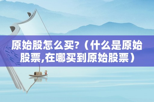 原始股怎么買?（什么是原始股票,在哪買到原始股票）