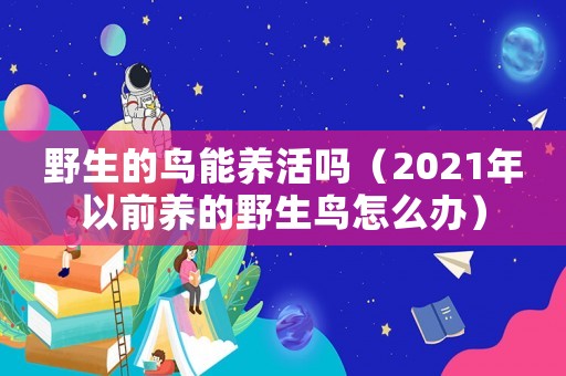 野生的鳥能養(yǎng)活嗎（2021年以前養(yǎng)的野生鳥怎么辦）