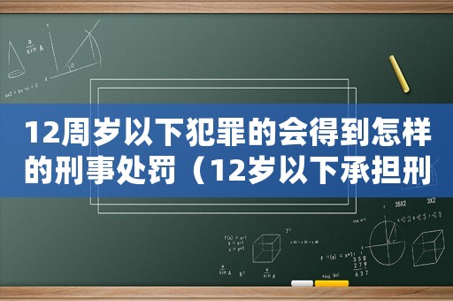 12周歲以下犯罪的會(huì)得到怎樣的刑事處罰（12歲以下承擔(dān)刑事責(zé)任嗎）