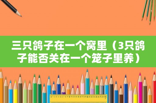 三只鴿子在一個(gè)窩里（3只鴿子能否關(guān)在一個(gè)籠子里養(yǎng)）