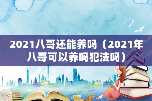 2021八哥還能養(yǎng)嗎（2021年八哥可以養(yǎng)嗎犯法嗎）