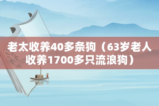 老太收養(yǎng)40多條狗（63歲老人收養(yǎng)1700多只流浪狗）