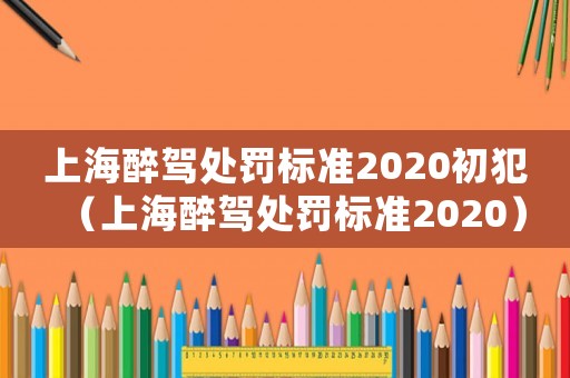 上海醉駕處罰標(biāo)準(zhǔn)2020初犯（上海醉駕處罰標(biāo)準(zhǔn)2020）