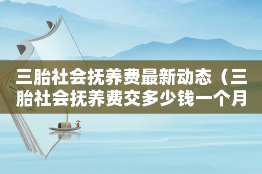 三胎社會撫養(yǎng)費最新動態(tài)（三胎社會撫養(yǎng)費交多少錢一個月）