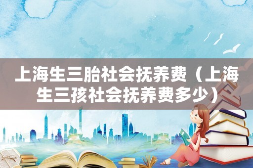 上海生三胎社會(huì)撫養(yǎng)費(fèi)（上海生三孩社會(huì)撫養(yǎng)費(fèi)多少）