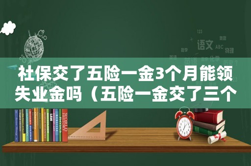 社保交了五險(xiǎn)一金3個(gè)月能領(lǐng)失業(yè)金嗎（五險(xiǎn)一金交了三個(gè)月里面的錢可以用嗎）
