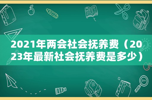 2021年兩會社會撫養(yǎng)費（2023年最新社會撫養(yǎng)費是多少）