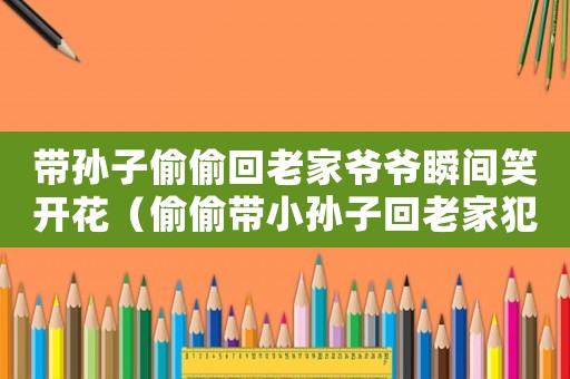 帶孫子偷偷回老家爺爺瞬間笑開花（偷偷帶小孫子回老家犯法嗎知乎）