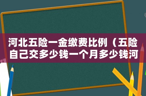 河北五險一金繳費(fèi)比例（五險自己交多少錢一個月多少錢河北省）
