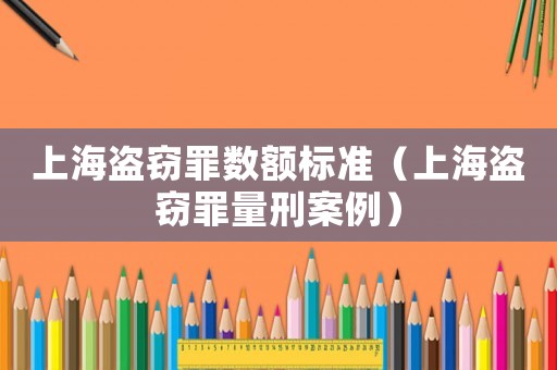 上海盜竊罪數額標準（上海盜竊罪量刑案例）
