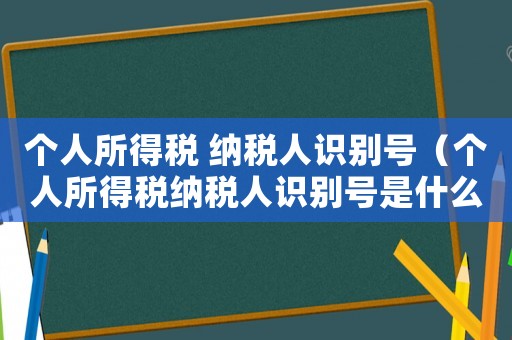 個(gè)人所得稅 納稅人識(shí)別號(hào)（個(gè)人所得稅納稅人識(shí)別號(hào)是什么意思）