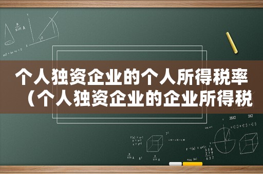個(gè)人獨(dú)資企業(yè)的個(gè)人所得稅率（個(gè)人獨(dú)資企業(yè)的企業(yè)所得稅稅率是多少）