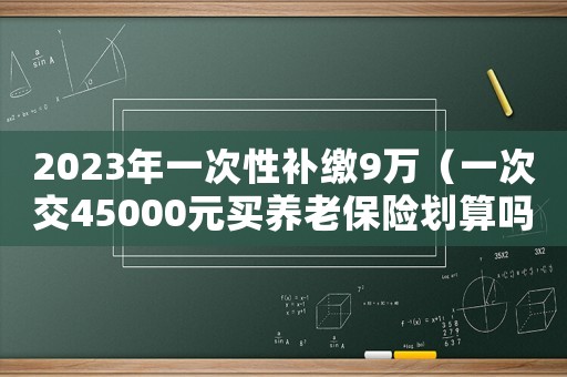 2023年一次性補(bǔ)繳9萬(wàn)（一次交45000元買養(yǎng)老保險(xiǎn)劃算嗎）