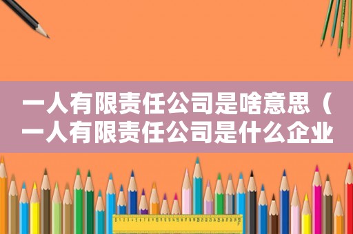 一人有限責(zé)任公司是啥意思（一人有限責(zé)任公司是什么企業(yè)類型）