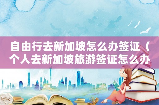 自由行去新加坡怎么辦簽證（個(gè)人去新加坡旅游簽證怎么辦理流程）