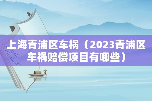 上海青浦區(qū)車禍（2023青浦區(qū)車禍賠償項(xiàng)目有哪些）