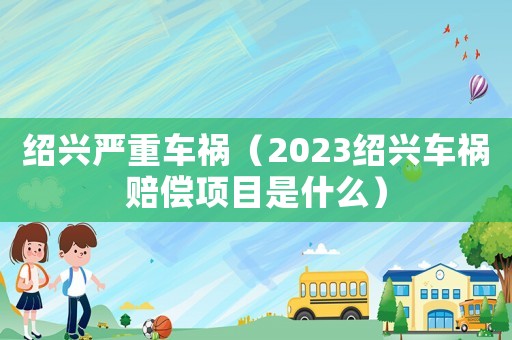 紹興嚴(yán)重車禍（2023紹興車禍賠償項目是什么）