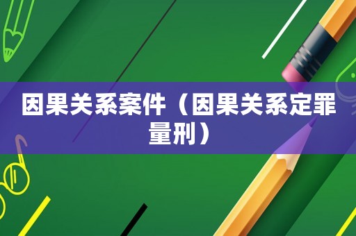 因果關系案件（因果關系定罪量刑）