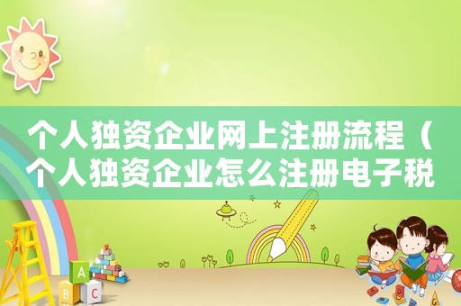 個人獨(dú)資企業(yè)網(wǎng)上注冊流程（個人獨(dú)資企業(yè)怎么注冊電子稅務(wù)局）
