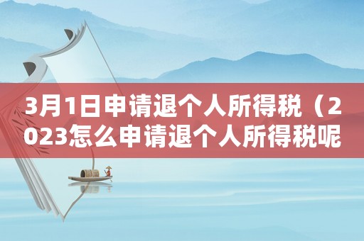 3月1日申請退個(gè)人所得稅（2023怎么申請退個(gè)人所得稅呢）
