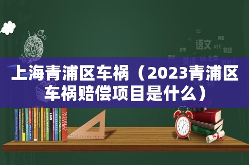 上海青浦區(qū)車禍（2023青浦區(qū)車禍賠償項(xiàng)目是什么）