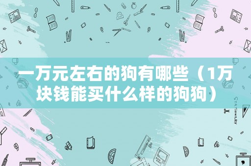 一萬(wàn)元左右的狗有哪些（1萬(wàn)塊錢(qián)能買(mǎi)什么樣的狗狗）