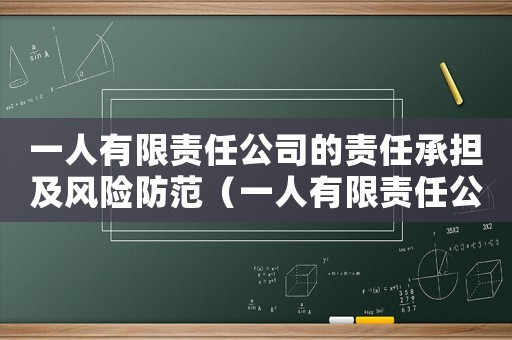 一人有限責(zé)任公司的責(zé)任承擔(dān)及風(fēng)險(xiǎn)防范（一人有限責(zé)任公司承擔(dān)的法律責(zé)任）