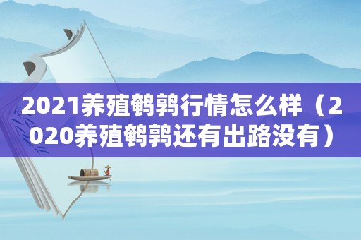 2021養(yǎng)殖鵪鶉行情怎么樣（2020養(yǎng)殖鵪鶉還有出路沒有）