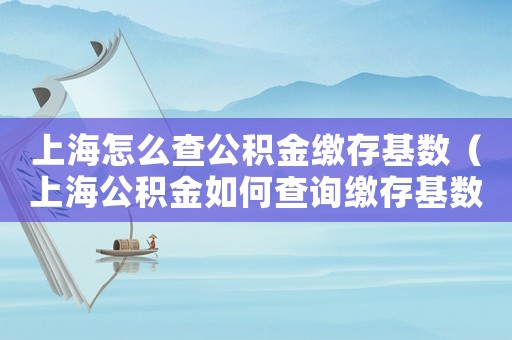 上海怎么查公積金繳存基數(shù)（上海公積金如何查詢繳存基數(shù)）