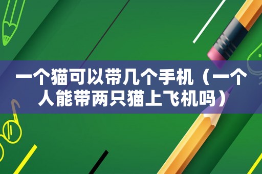 一個(gè)貓可以帶幾個(gè)手機(jī)（一個(gè)人能帶兩只貓上飛機(jī)嗎）