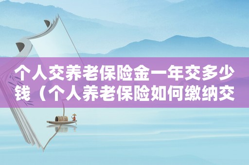 個人交養(yǎng)老保險金一年交多少錢（個人養(yǎng)老保險如何繳納交十年）