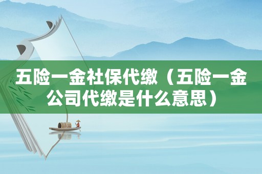 五險一金社保代繳（五險一金公司代繳是什么意思）