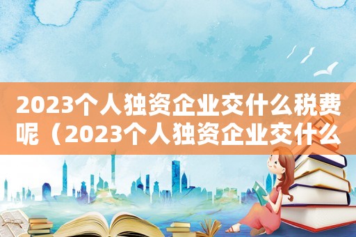 2023個(gè)人獨(dú)資企業(yè)交什么稅費(fèi)呢（2023個(gè)人獨(dú)資企業(yè)交什么稅費(fèi)）