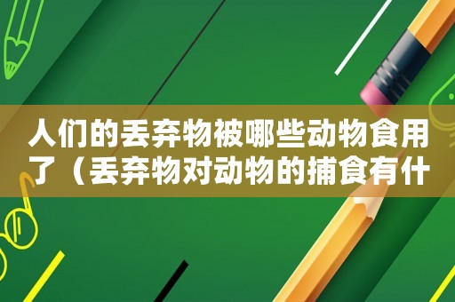 人們的丟棄物被哪些動(dòng)物食用了（丟棄物對(duì)動(dòng)物的捕食有什么影響）