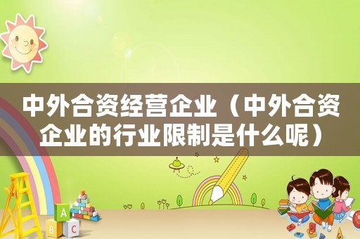 中外合資經(jīng)營企業(yè)（中外合資企業(yè)的行業(yè)限制是什么呢）