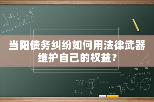 當(dāng)陽(yáng)債務(wù)糾紛如何用法律武器維護(hù)自己的權(quán)益？