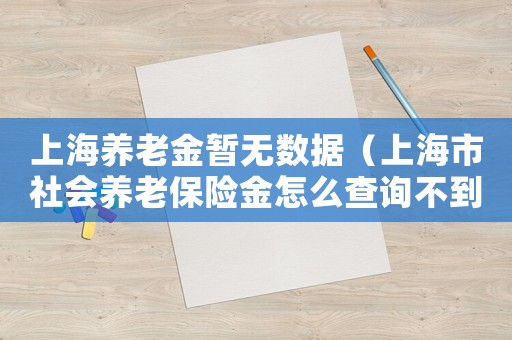 上海養(yǎng)老金暫無數(shù)據(jù)（上海市社會養(yǎng)老保險金怎么查詢不到）