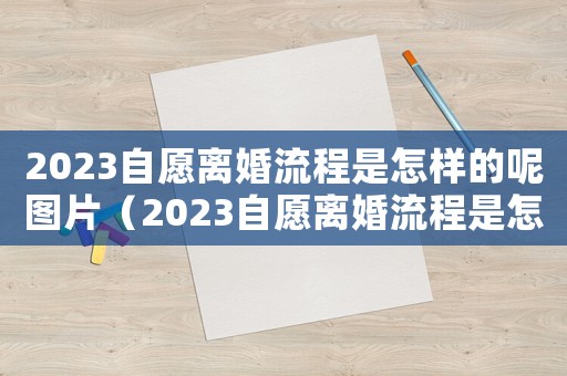 2023自愿離婚流程是怎樣的呢圖片（2023自愿離婚流程是怎樣的呢）