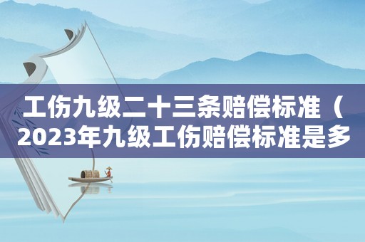 工傷九級(jí)二十三條賠償標(biāo)準(zhǔn)（2023年九級(jí)工傷賠償標(biāo)準(zhǔn)是多少錢(qián)）