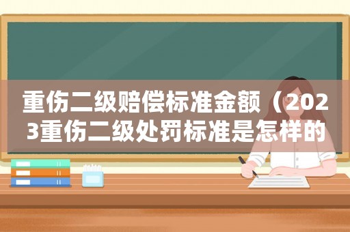 重傷二級(jí)賠償標(biāo)準(zhǔn)金額（2023重傷二級(jí)處罰標(biāo)準(zhǔn)是怎樣的呀）