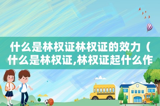 什么是林權(quán)證林權(quán)證的效力（什么是林權(quán)證,林權(quán)證起什么作用）