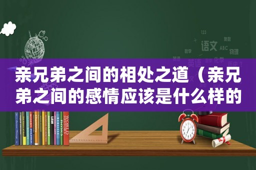 親兄弟之間的相處之道（親兄弟之間的感情應(yīng)該是什么樣的）