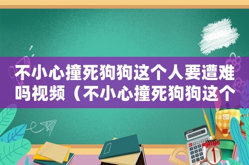 不小心撞死狗狗這個(gè)人要遭難嗎視頻（不小心撞死狗狗這個(gè)人要遭難嗎?）