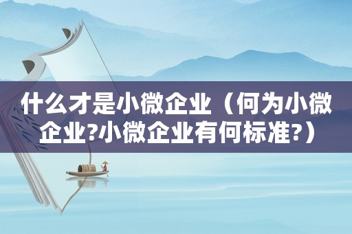 什么才是小微企業(yè)（何為小微企業(yè)?小微企業(yè)有何標(biāo)準(zhǔn)?）