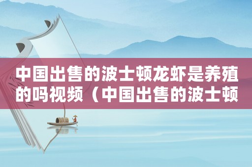 中國(guó)出售的波士頓龍蝦是養(yǎng)殖的嗎視頻（中國(guó)出售的波士頓龍蝦是養(yǎng)殖的嗎）