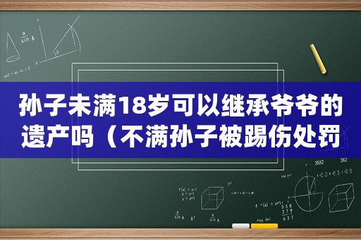 孫子未滿18歲可以繼承爺爺?shù)倪z產(chǎn)嗎（不滿孫子被踢傷處罰結(jié)果是什么呢）