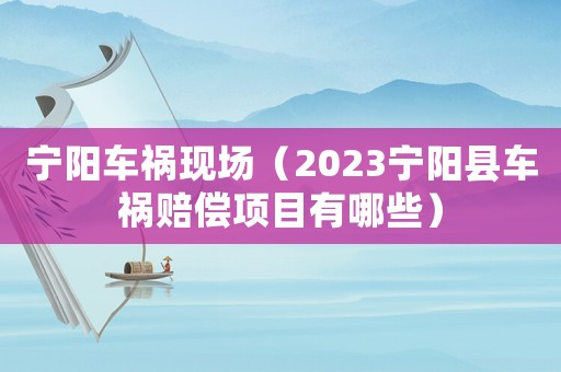 寧陽車禍現(xiàn)場（2023寧陽縣車禍賠償項(xiàng)目有哪些）