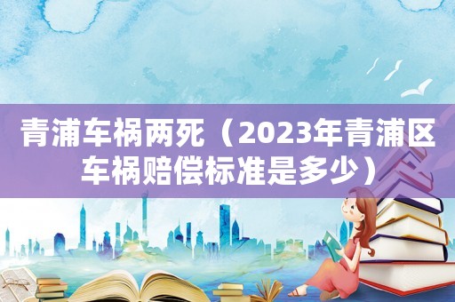 青浦車禍兩死（2023年青浦區(qū)車禍賠償標(biāo)準(zhǔn)是多少）